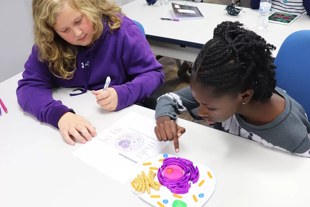 Students looking the a 3D printed structure of an animal cell